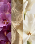 Sea Salt Bloom