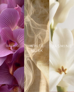 Sea Salt Bloom
