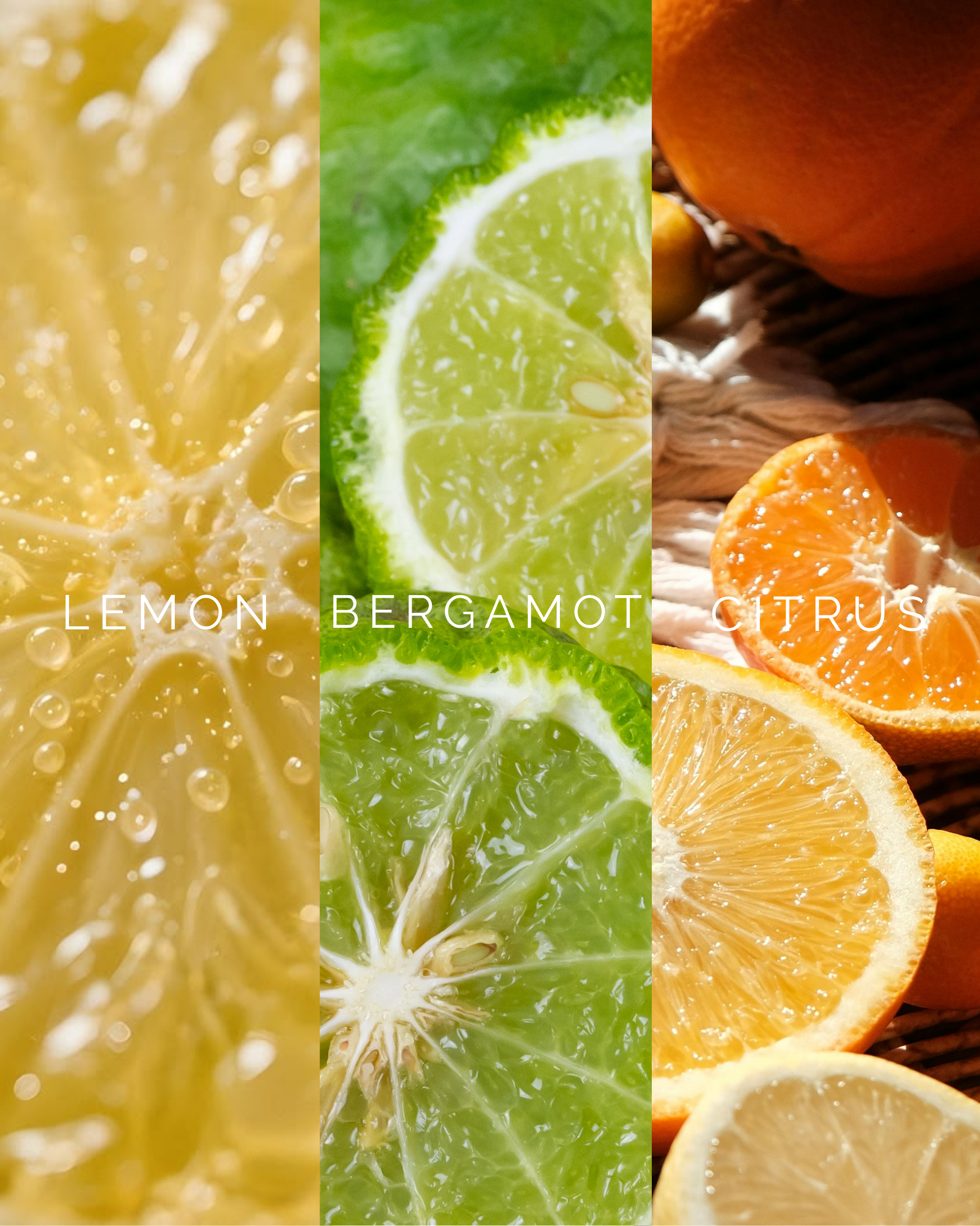 Lemon Drop